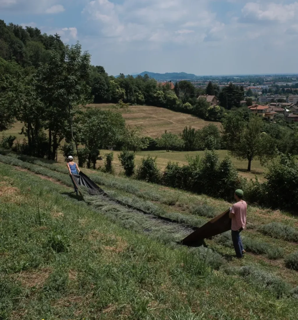 Colli di Bergamo_016